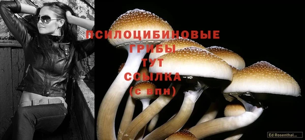 прущие крисы Зеленокумск