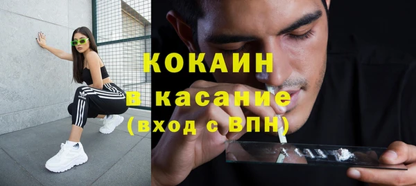 крисы Инта
