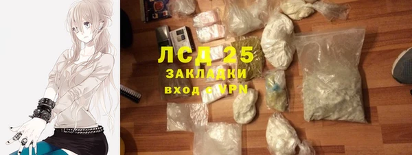 крисы Инта