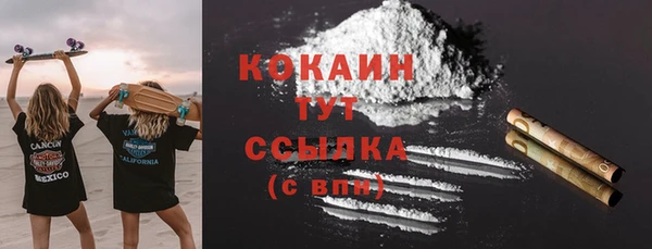 PSILOCYBIN Иннополис