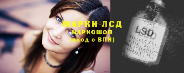 PSILOCYBIN Иннополис