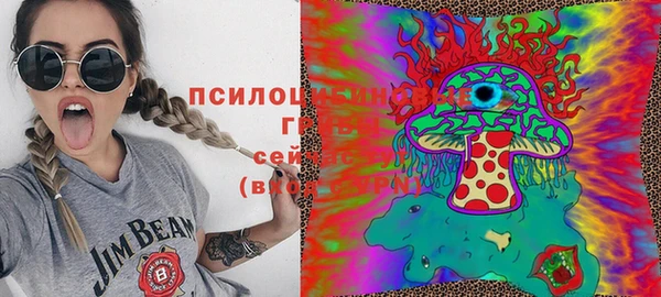 дмт Зеленодольск