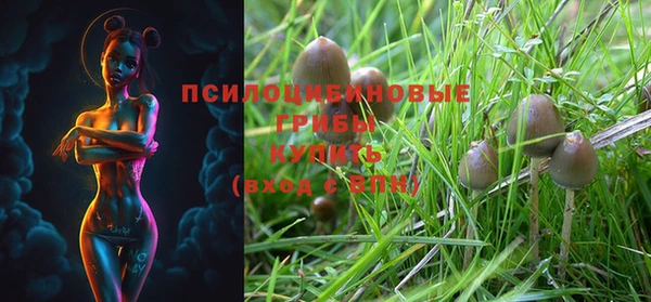 прущие крисы Зеленокумск