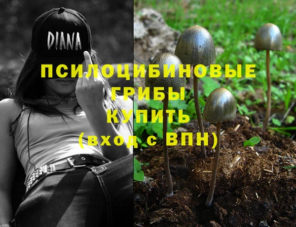 крисы Инта