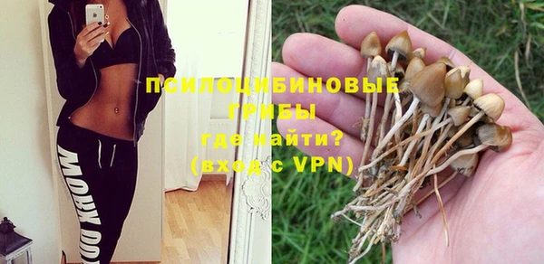 прущие крисы Зеленокумск