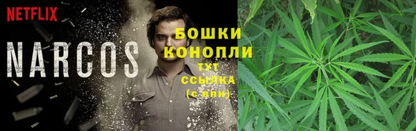 метадон Инсар