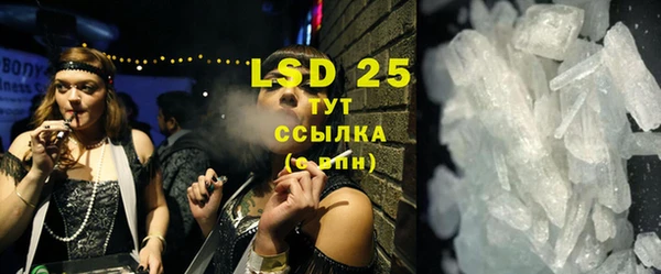крисы Инта