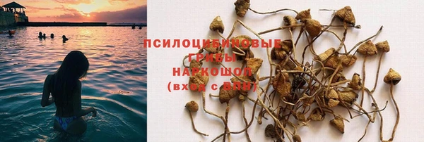 MESCALINE Лабытнанги