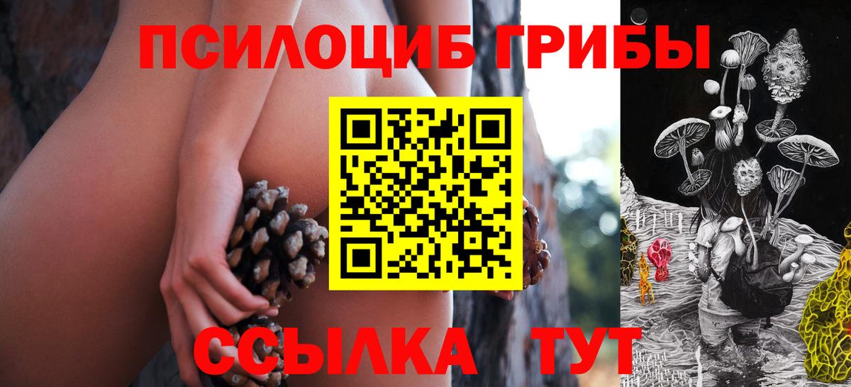 МЕТ  Карачаевск  Магазины продажи наркотиков  Вход с VPN  ГАШИШ  Каннабис  Меф кристаллы  APVP СОЛЬ кристаллы 