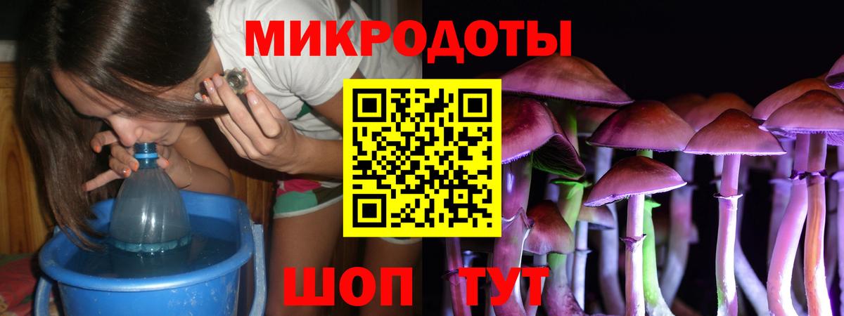 Псилоцибиновые грибы прущие грибы  Вход с VPN  Карачаевск 