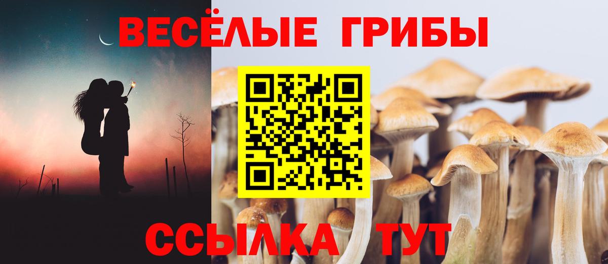 Псилоцибиновые грибы Magic Shrooms Карачаевск